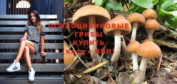 молекула духа Алзамай