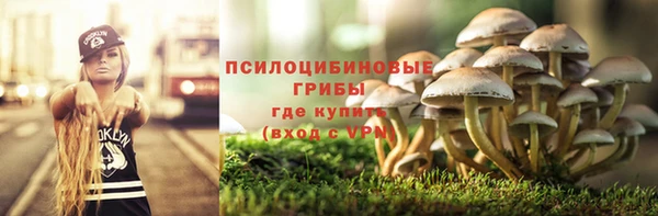 соль ск Медвежьегорск