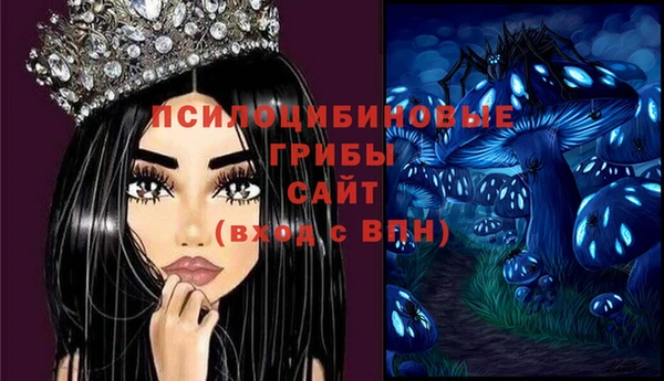 сатива Алексеевка