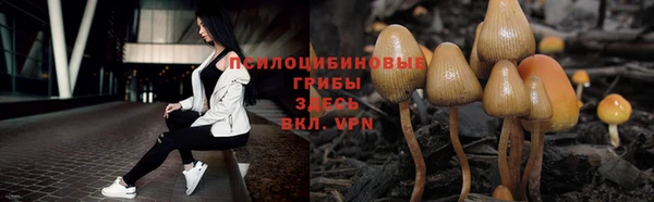 сатива Алексеевка