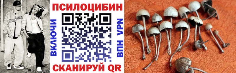 где купить наркоту  Тольятти  Галлюциногенные грибы прущие грибы 